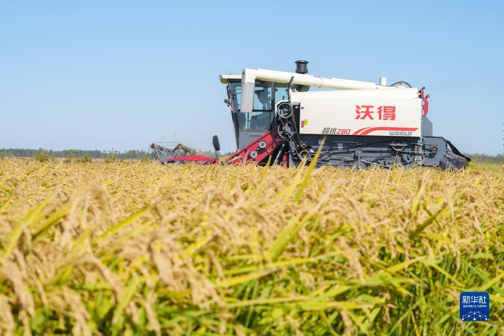 下载亚洲会